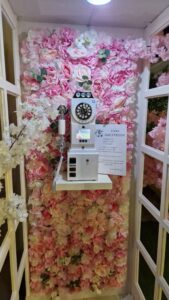 Video Phone